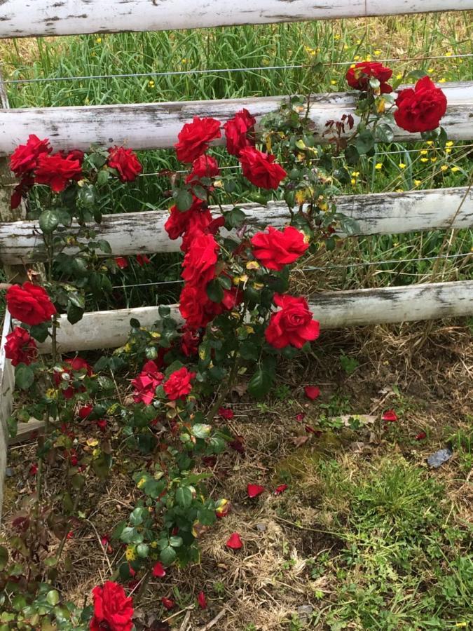 Bed and Breakfast Hunua Ranges Exterior foto